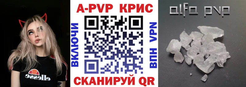 A PVP СК КРИС Оренбург