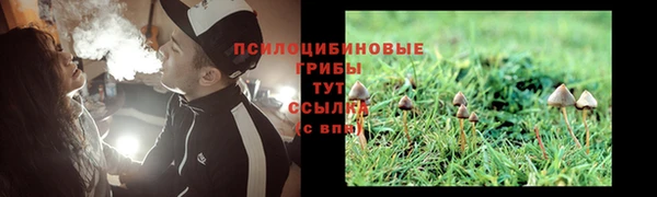 тгк Бугульма