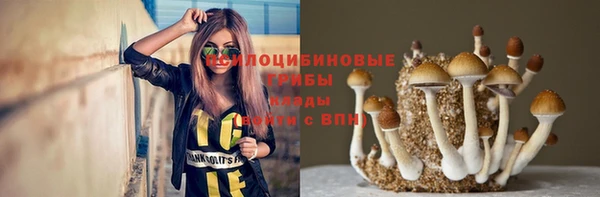 spice Верея