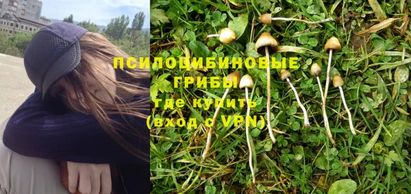 хмурый Бронницы